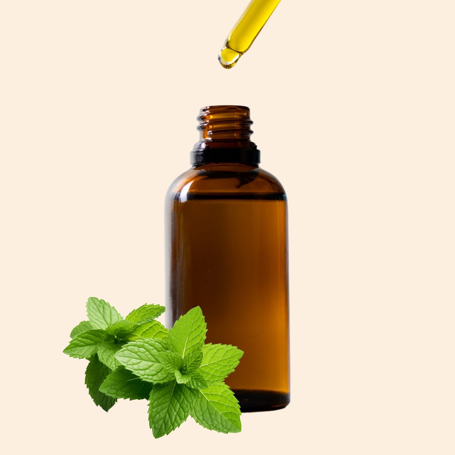 Spearmint Hydrosol Spearmint Hydrosol